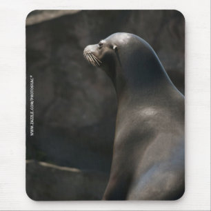 Sea Lion Mouse Pad
