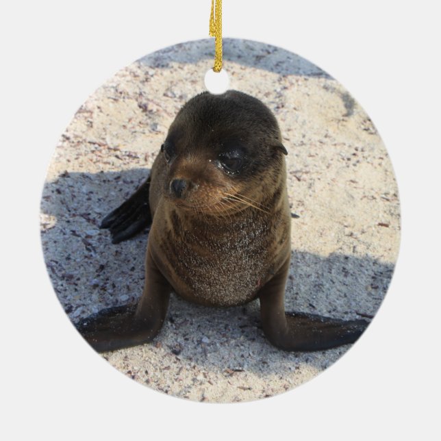 Sea Lion Ornament (Back)