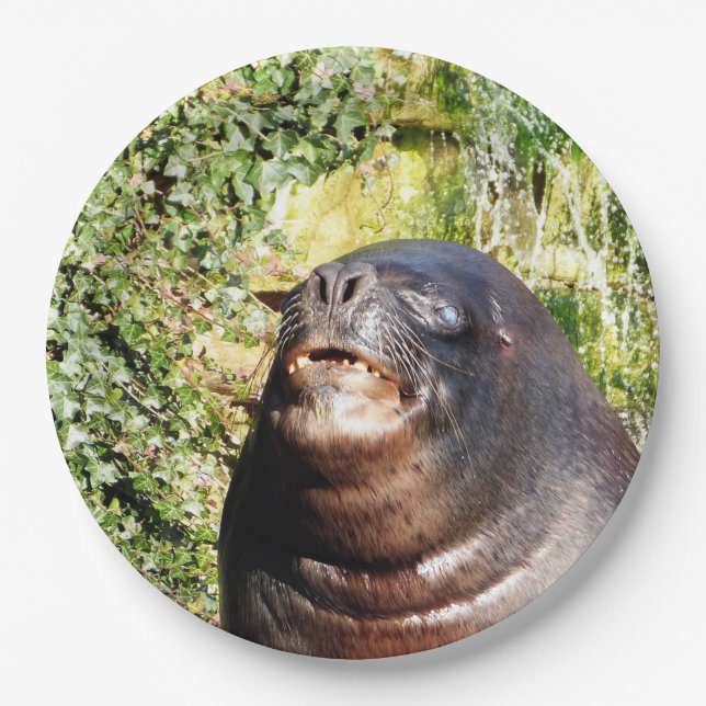 SEA LION     PAPER PLATE (Front)