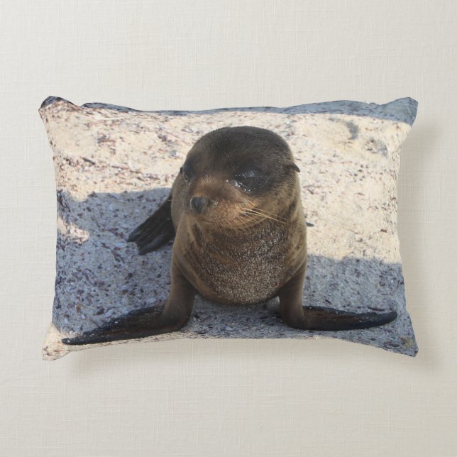 Sea Lion Pillow (Front)