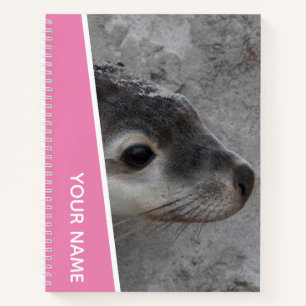 Sea Lion Pup Baby Face Closeup Australia, Pink Notebook