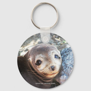 Sea lion pup, Isla Las Plazas, Galapagos Keychain
