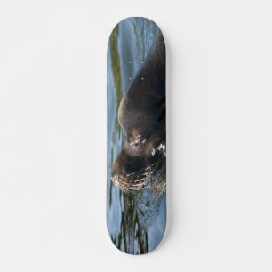 Sea Lion Skateboard