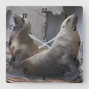 Sea Lion Square Clock