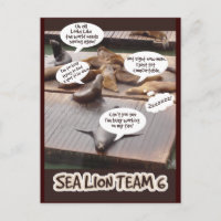 Sea Lion Team Six