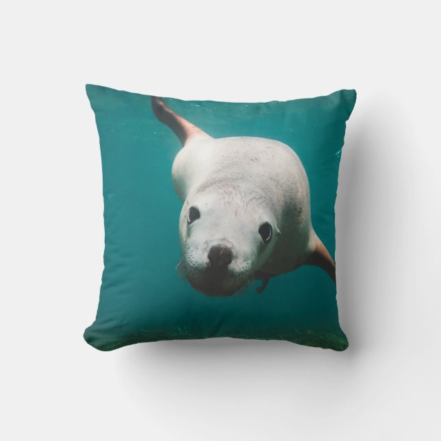 Sea Lion  Throw Pillow (Front)