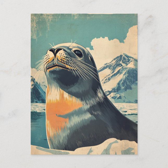 Sea Lion vintage Postcard (Front)