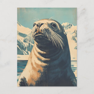 Sea Lion vintage Postcard