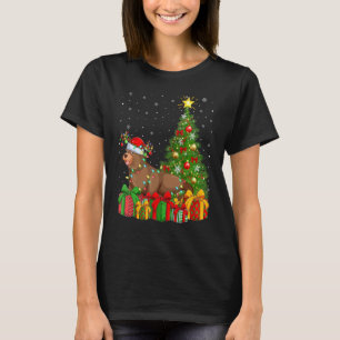 Sea Lion Xmas Holiday Santa Sea Lion Christmas T T-Shirt