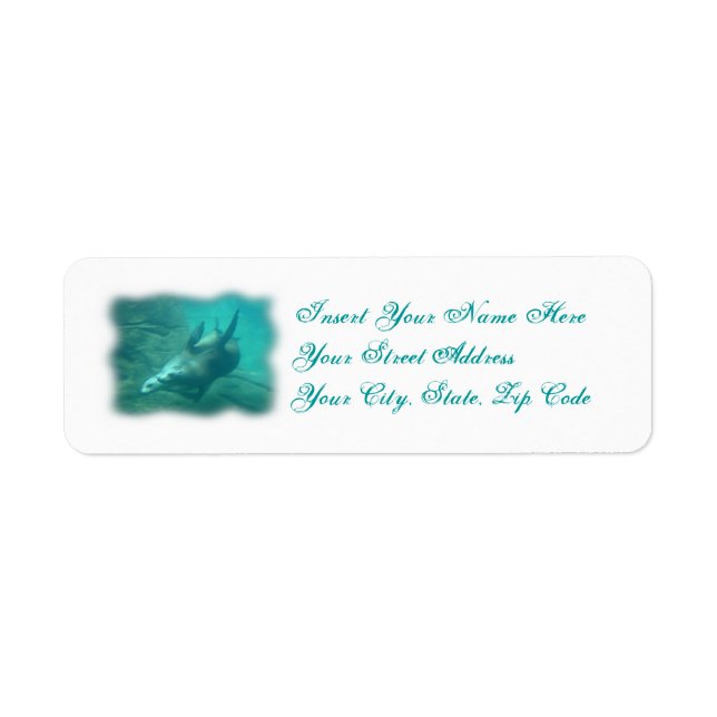 Sea Lions Customizable Labels (Front)