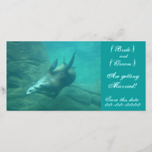 Sea Lions Customizable Save This Date Photo Card
