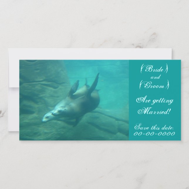 Sea Lions Customizable Save This Date Photo Card (Front)