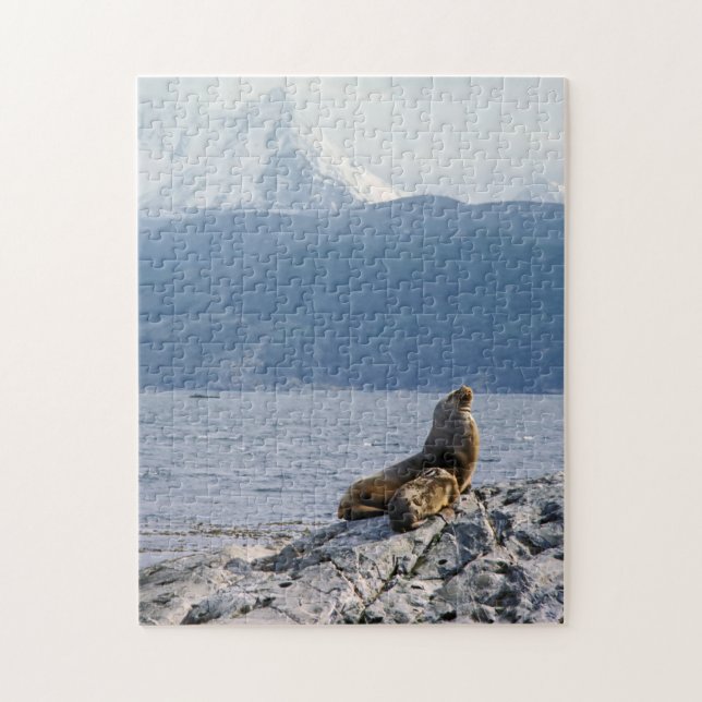 Sea lions in beagle channel - Argentina Jigsaw Puzzle (Vertical)