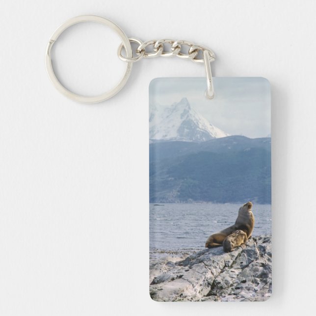Sea lions in beagle channel - Argentina Keychain (Front)