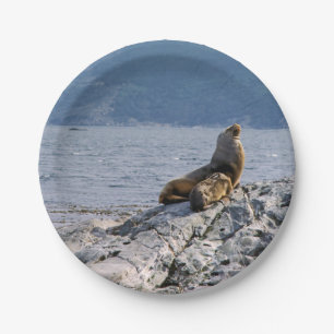 Sea lions in beagle channel - Argentina Paper Plate