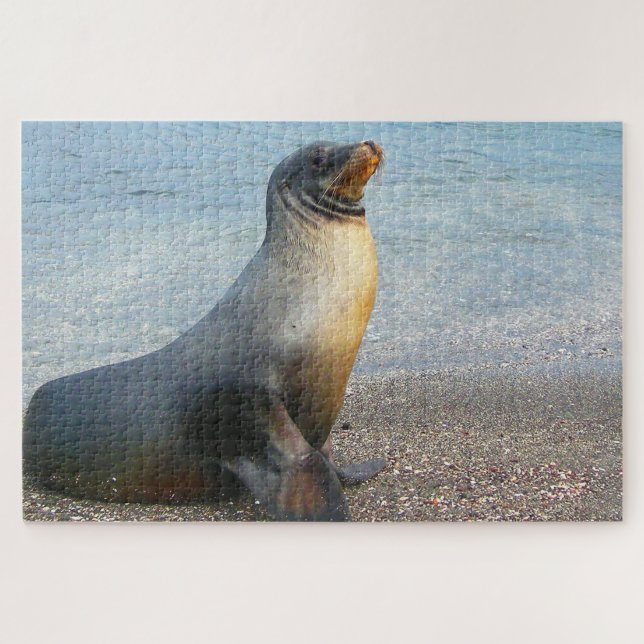 Sea Lions Jigsaw Puzzle (Horizontal)