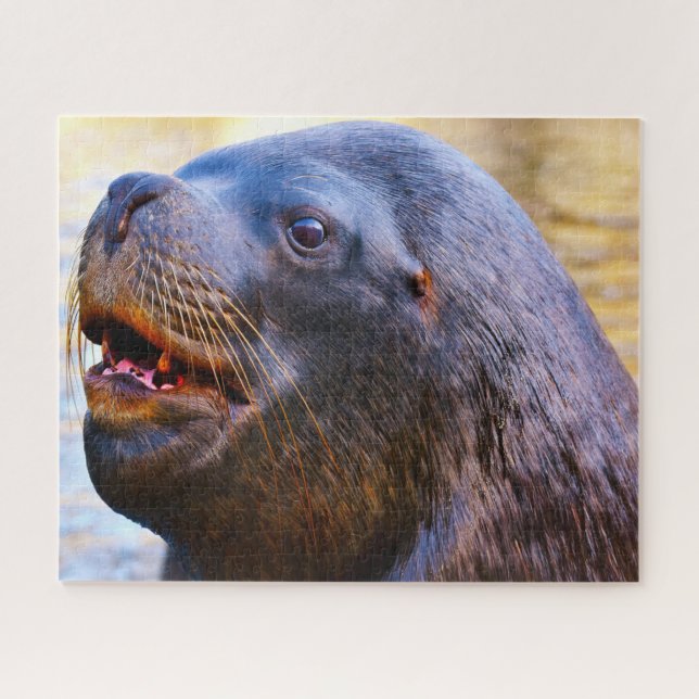Sea Lions Jigsaw Puzzle (Horizontal)