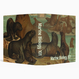 Sea Lions on the Beach, Vintage Marine Life Animal Binder
