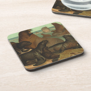 Sea Lions on the Beach, Vintage Marine Life Animal Coaster