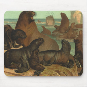 Sea Lions on the Beach, Vintage Marine Life Animal Mouse Pad