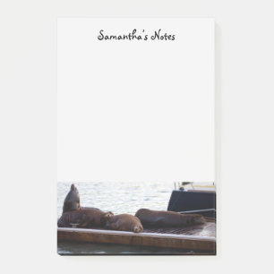 Sea Lions Post-It Notes