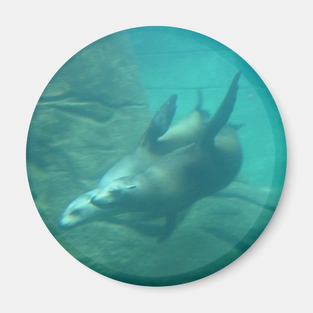 Sea Lions Round Magnet (Front)