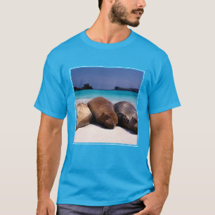 Sea Lions Sleeping On Beach Ecuador T-Shirt