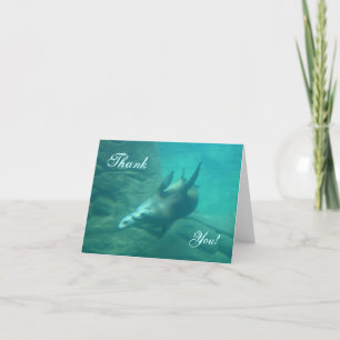 Sea Lions Thank You Card