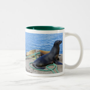 Sea Lions Two-Tone Coffee Mug