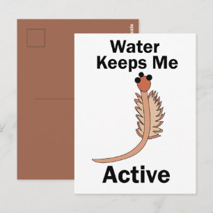 Sea Monkeys Brine Shrimp Water Keeps Me Active  Postcard