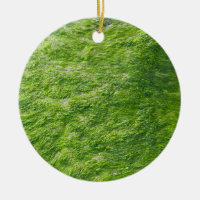 Sea Moss Green Nature Grass Beach Nautical