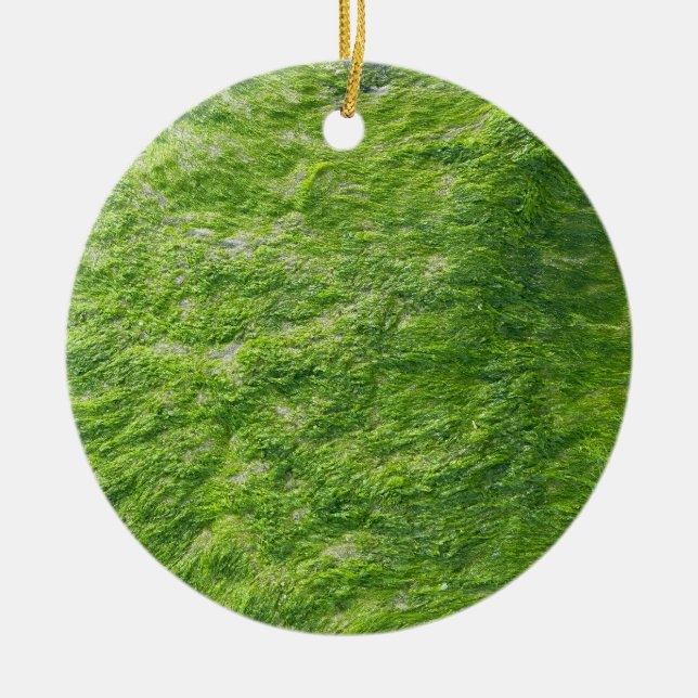 Sea Moss Green Nature Grass Beach Nautical Ceramic Ornament (Front)