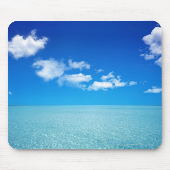 Sea Mouse Pad (Front)