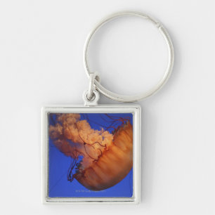 Sea nettle jellyfish keychain