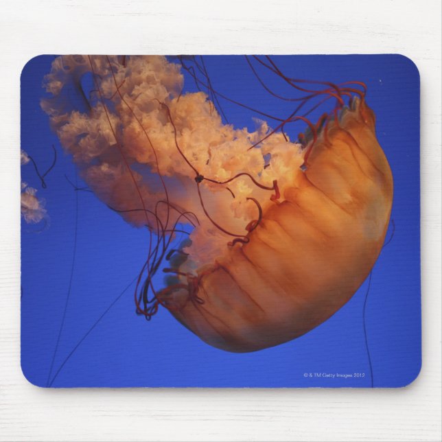 Sea nettle jellyfish mouse pad (Front)