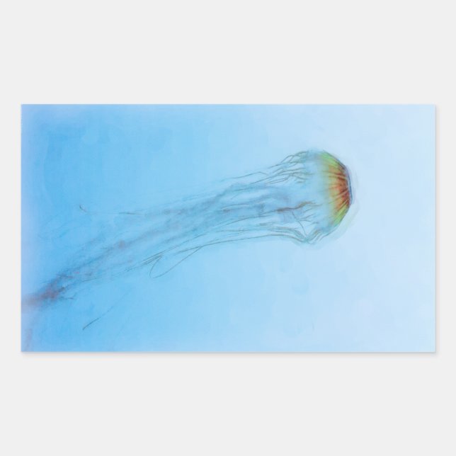 Sea Nettle Sticker (Front)