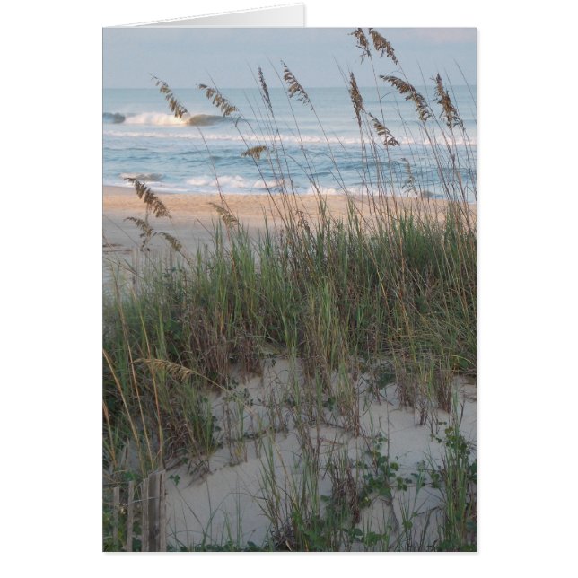 Sea Oats (Front)