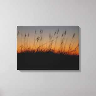 Sea Oats and Dunes at Sunset Canvas Print
