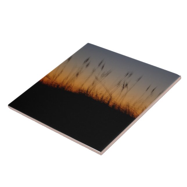 Sea Oats and Dunes at Sunset Tile (Side)