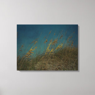 Sea Oats Canvas Print