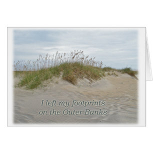 Sea Oats on Sand Dune Outer Banks NC