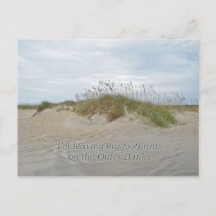 Sea Oats on Sand Dune Outer Banks NC Postcard