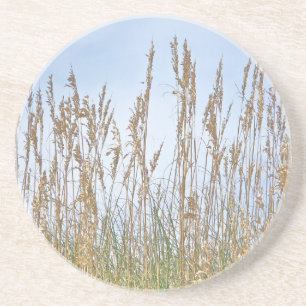 Sea Oats Outer Banks NC Series Coaster