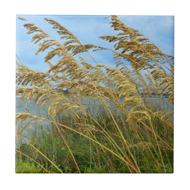 Sea Oats Tile (Front)