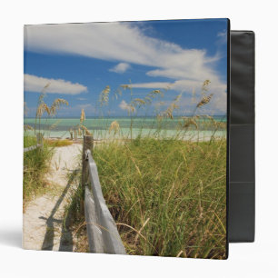 Sea oats Uniola paniculata) growing by beach, Binder