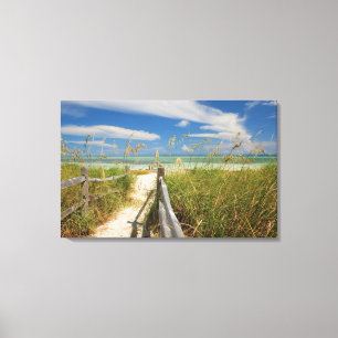 Sea oats Uniola paniculata) growing by beach, Canvas Print
