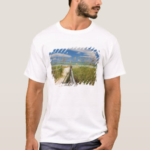 Sea oats Uniola paniculata) growing by beach, T-Shirt