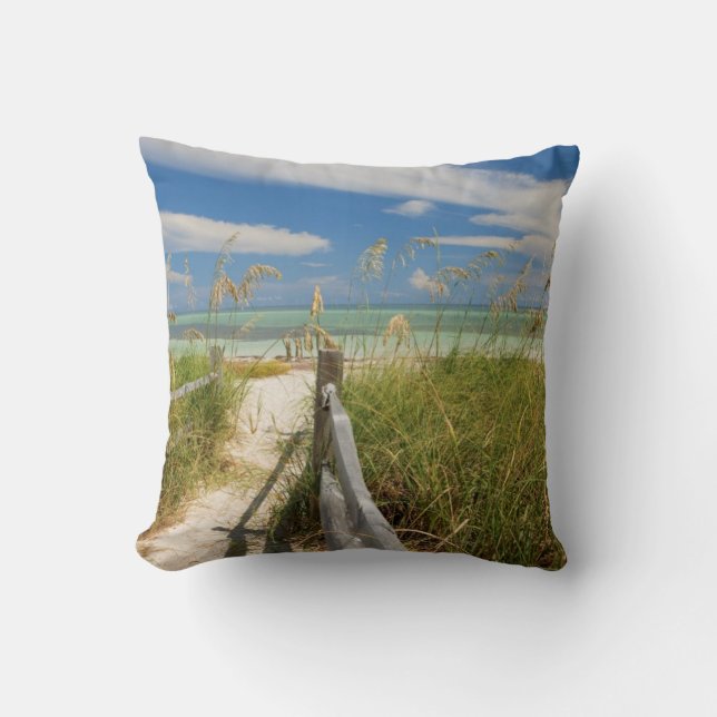 Sea oats Uniola paniculata) growing by beach Throw Pillow (Front)