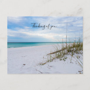 Sea Oats White Sand Beach Morning Thinking Of You Postcard