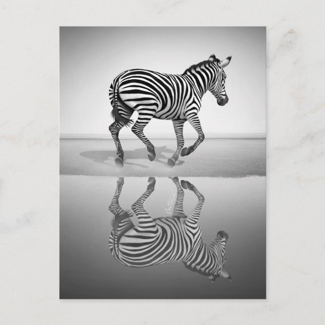 Sea of Freedom Postcard (Front)